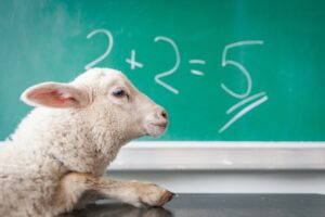 A sheep is demonstrating a wrong assumption