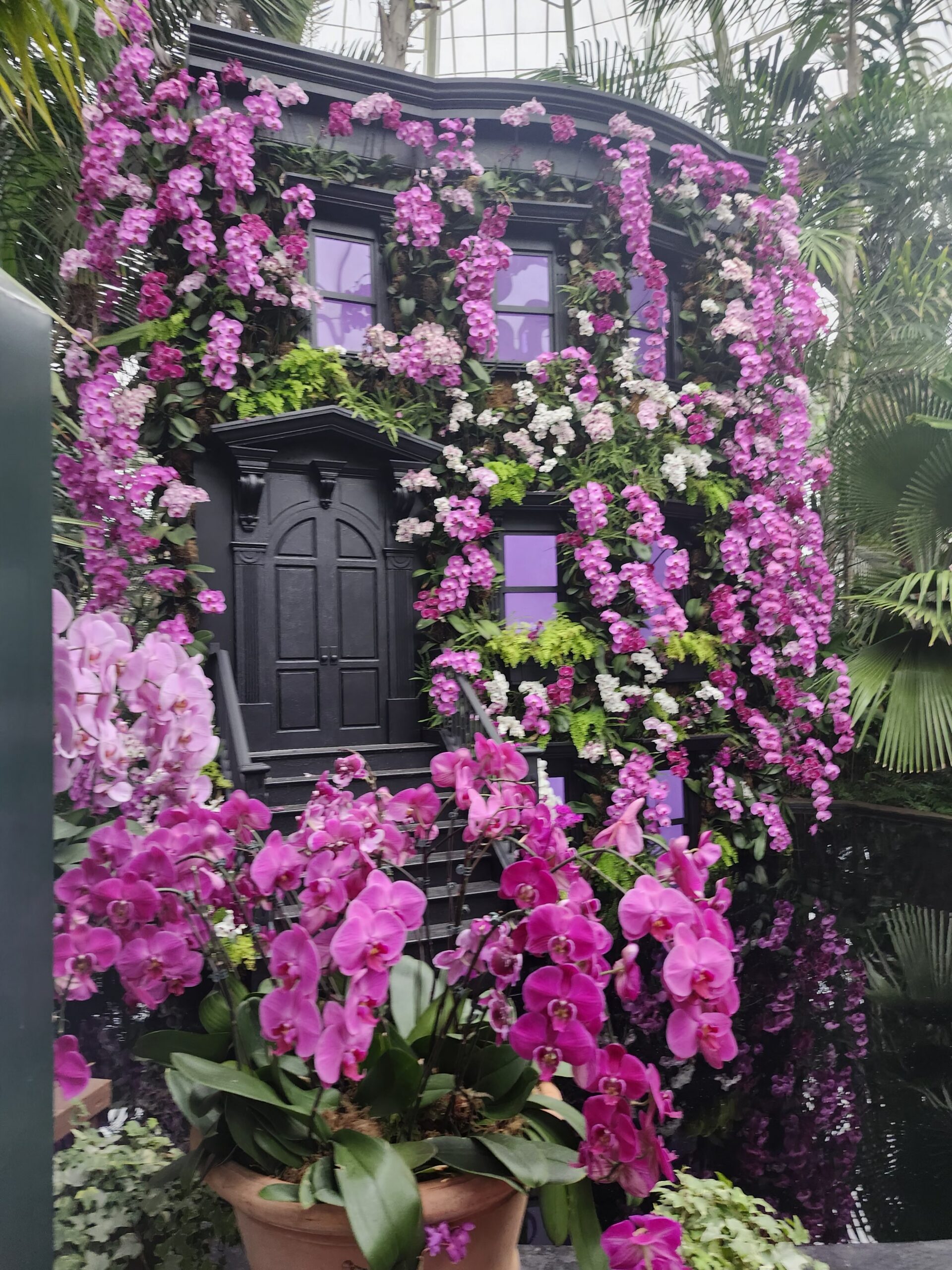 Mr. Flower Fantastic Front Stoop at the NYBG orchid exhibit